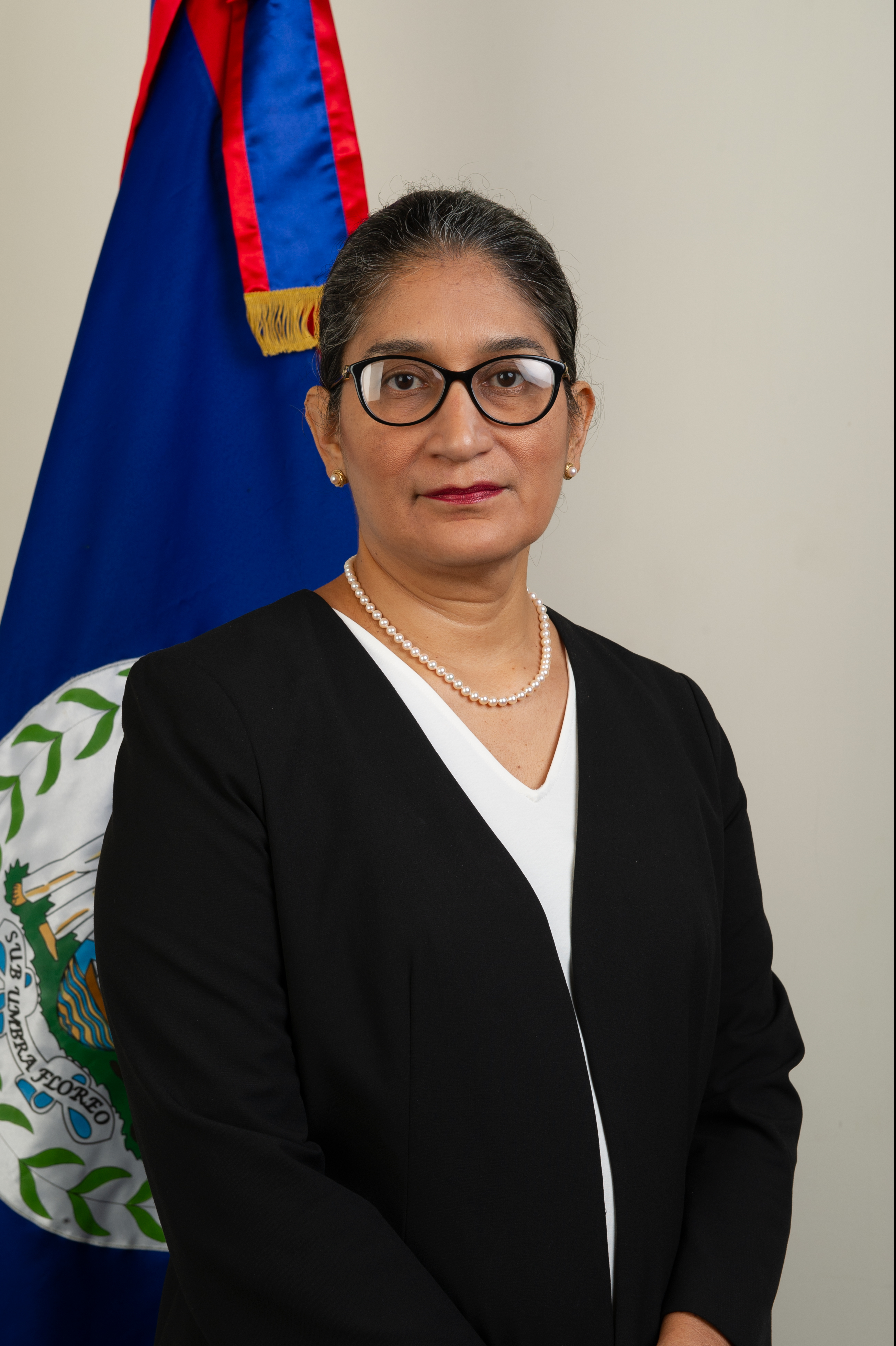 Hon. Magali Marin Young